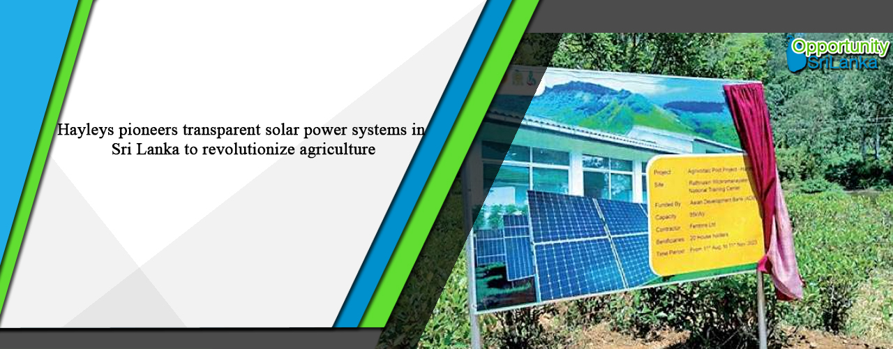 Hayleys pioneers transparent solar power systems in Sri Lanka to revolutionize agriculture