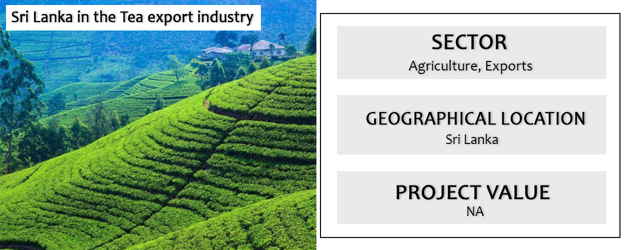 Business Opportunity in Sri Lanka in the Tea Export Industry