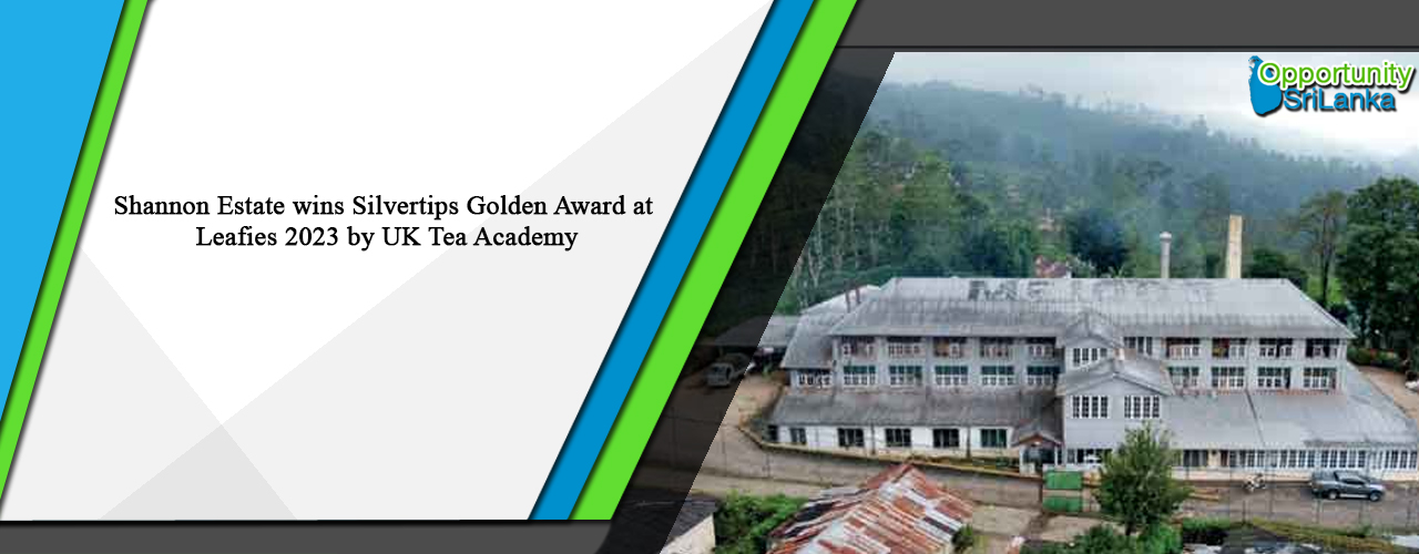 Shannon Estate wins Silvertips Golden Award at Leafies 2023 by UK Tea Academy