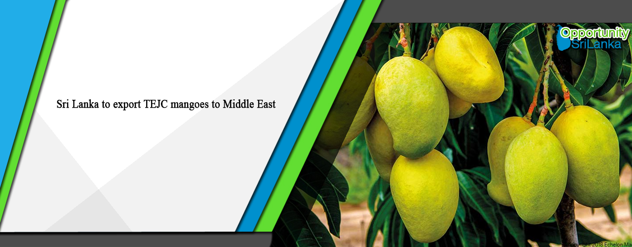 Sri Lanka to export TEJC mangoes to Middle East