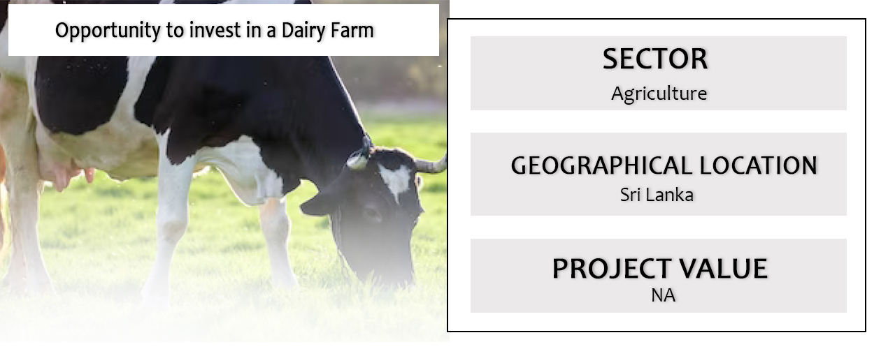 Opportunity to invest in a Dairy Farm