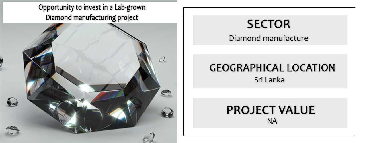 Opportunity to invest in a Lab-grown Diamond manufacturing project