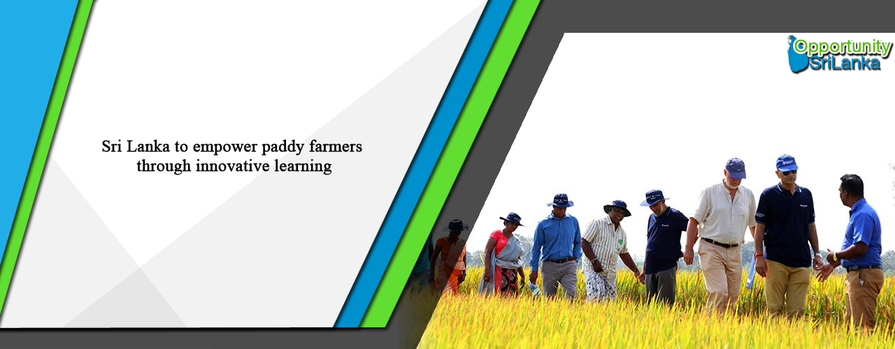 Sri Lanka to empower paddy farmers through innovative learning