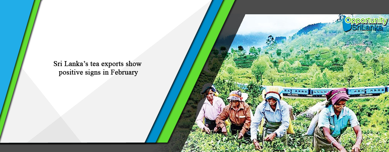 Sri Lanka’s tea exports show positive signs in February