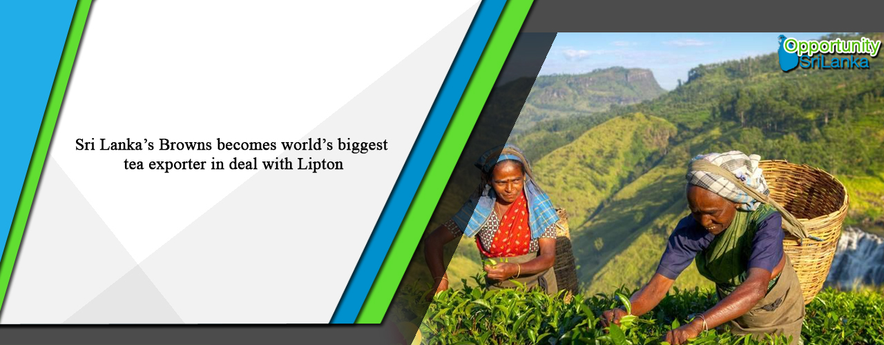 Sri Lanka’s Browns becomes world’s biggest tea exporter in deal with Lipton