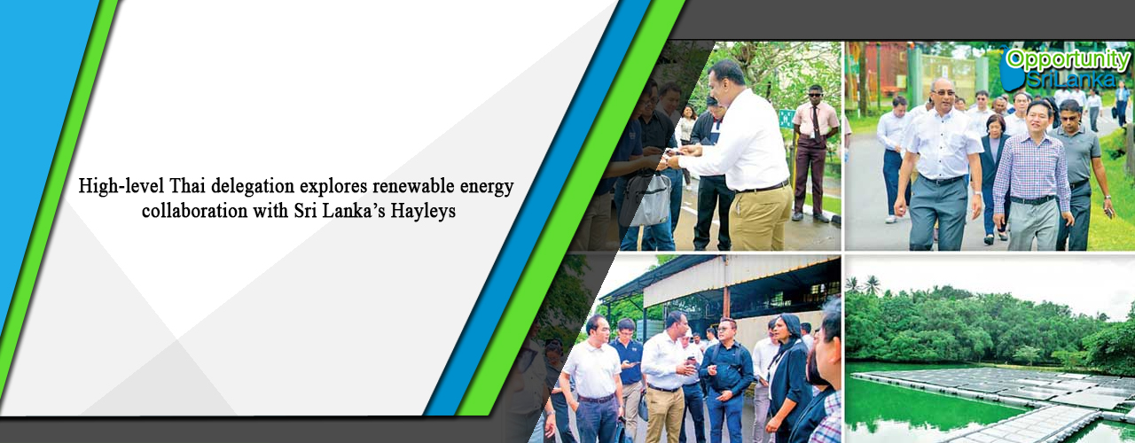 High-level Thai delegation explores renewable energy collaboration with Sri Lanka’s Hayleys