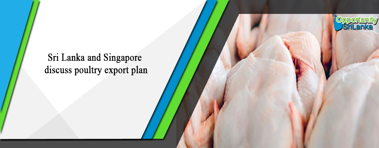 Sri Lanka and Singapore discuss poultry export plan
