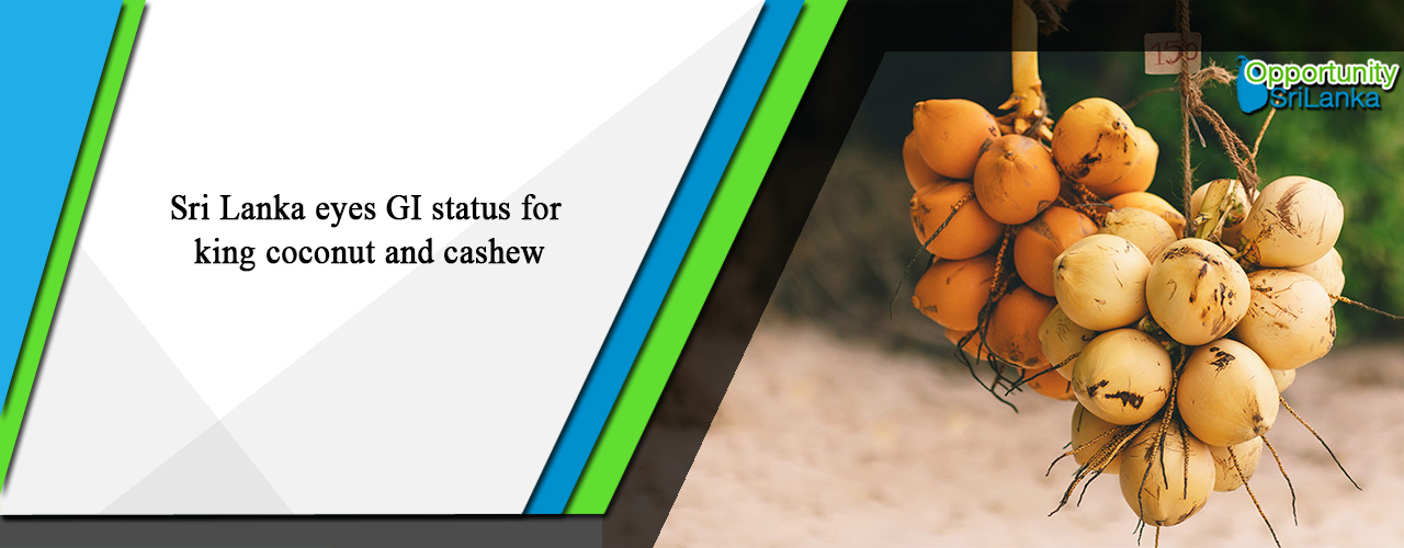 Sri Lanka eyes GI status for king coconut and cashew