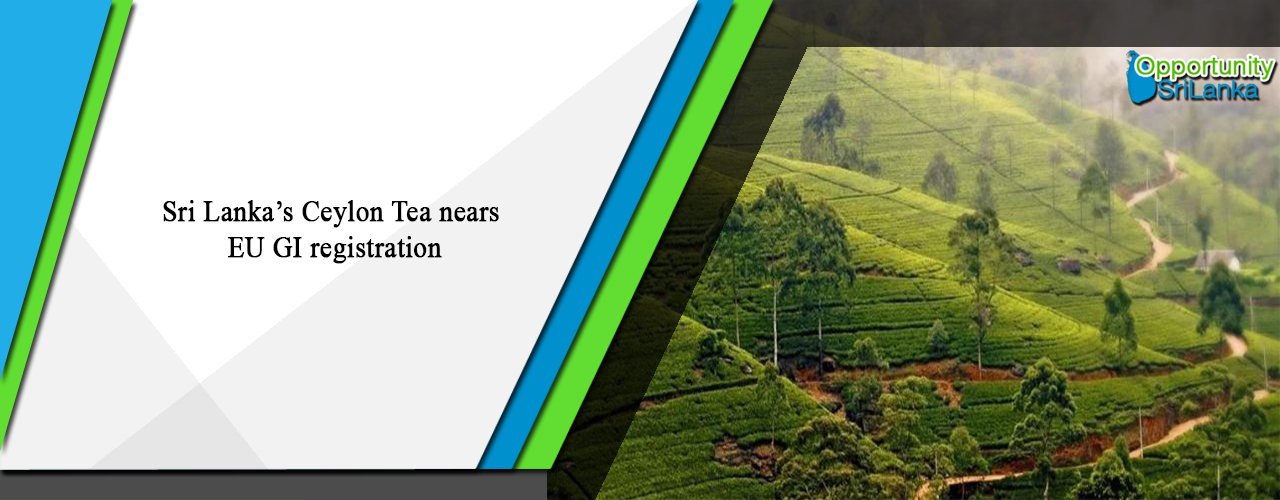 Sri Lanka’s Ceylon Tea nears EU GI registration