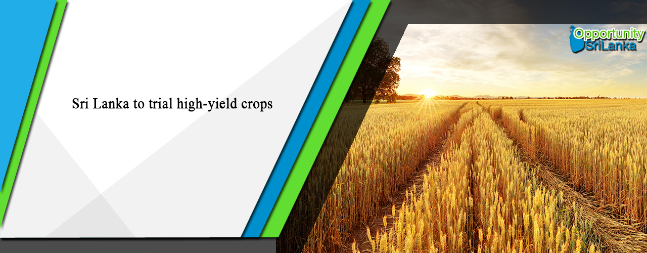 Sri Lanka to trial high-yield crops