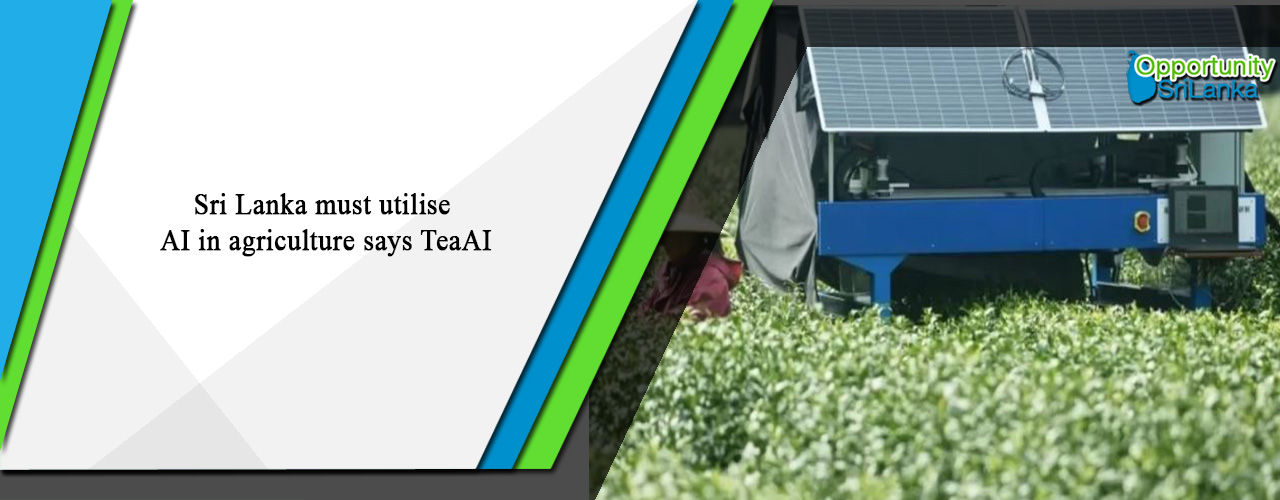 Sri Lanka must utilise AI in agriculture says TeaAI