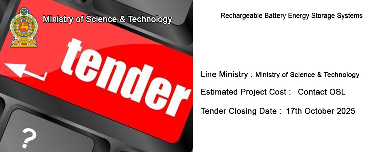 Rechargeable Battery Energy Storage Systems
