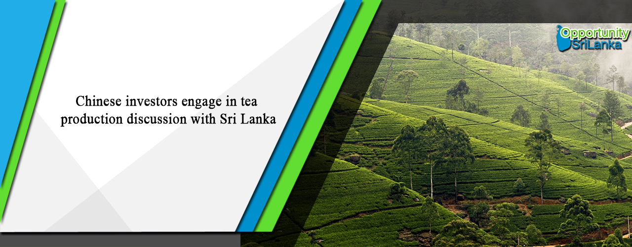Chinese investors engage in tea production discussion with Sri Lanka
