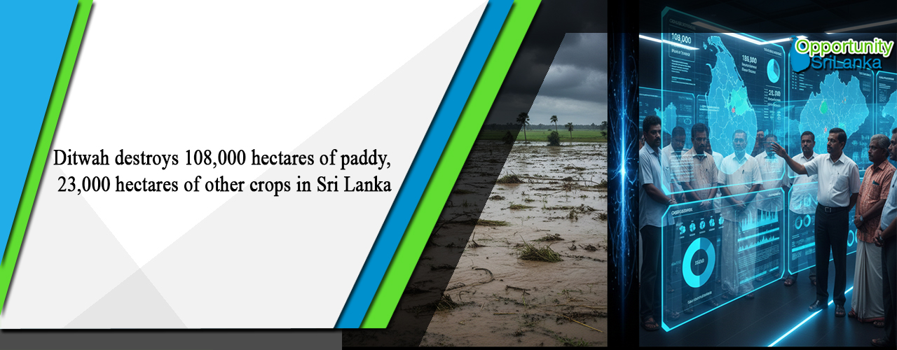 Ditwah destroys 108,000 hectares of paddy, 23,000 hectares of other crops in Sri Lanka