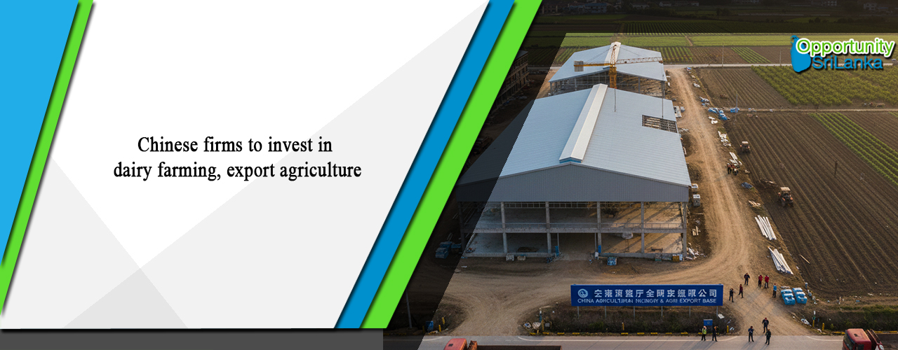 Chinese firms to invest in dairy farming, export agriculture