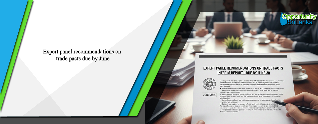 Expert panel recommendations on trade pacts due by June