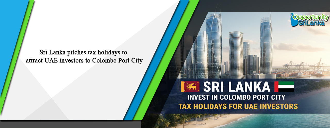 Sri Lanka pitches tax holidays to attract UAE investors to Colombo Port City