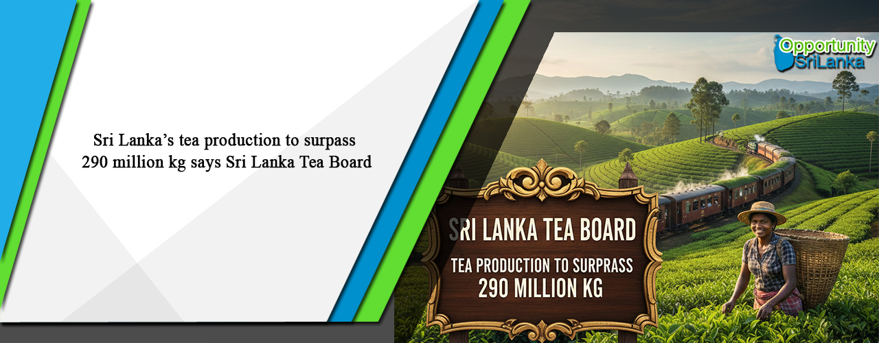 Sri Lanka’s tea production to surpass 290 million kg says Sri Lanka Tea Board