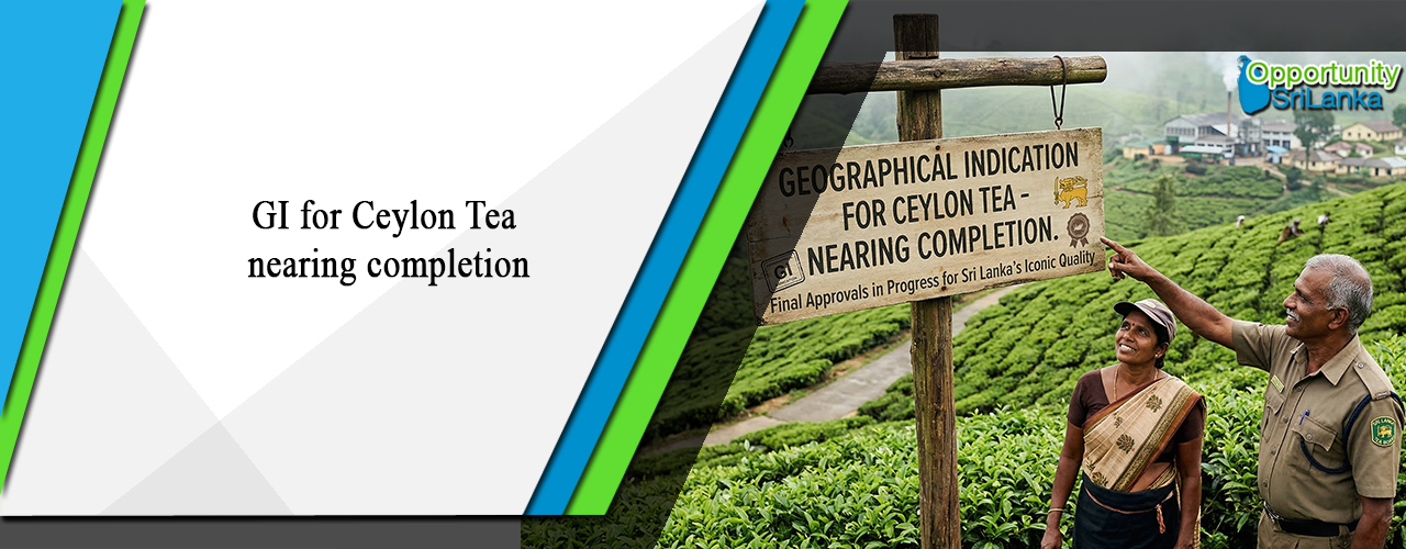 GI for Ceylon Tea nearing completion
