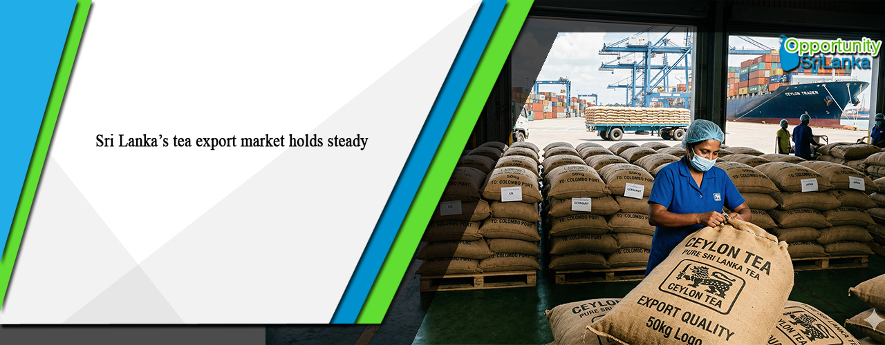 Sri Lanka’s tea export market holds steady