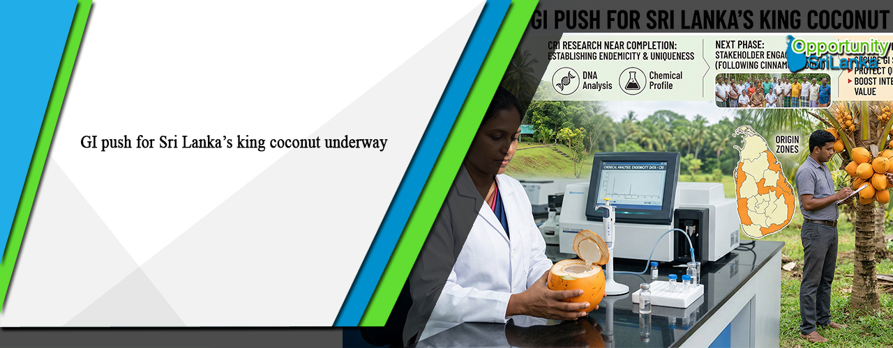 GI push for Sri Lanka’s king coconut underway