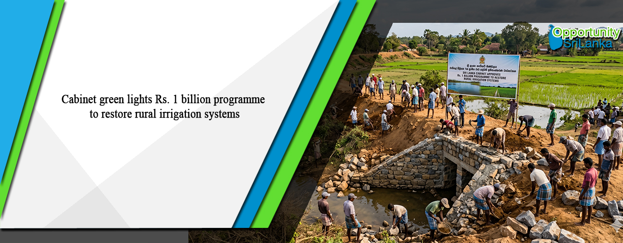 Cabinet green lights Rs. 1 billion programme to restore rural irrigation systems