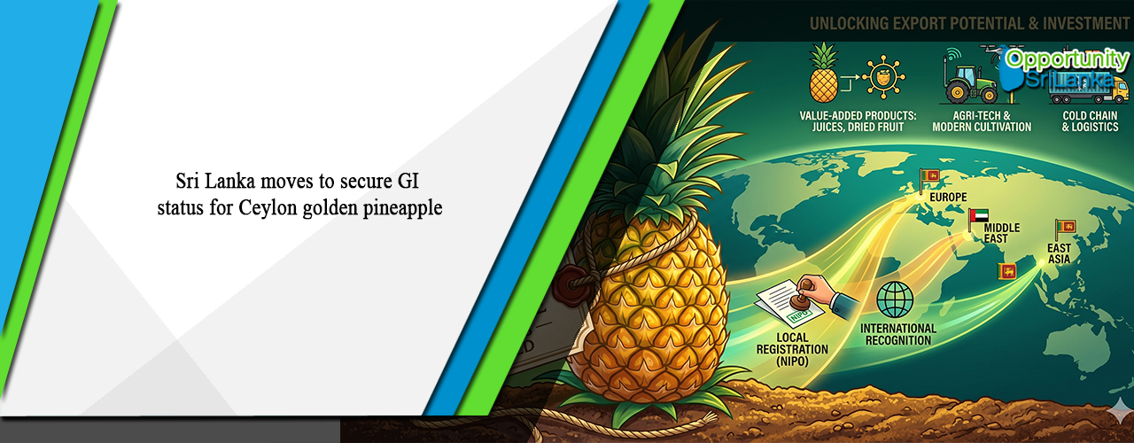 Sri Lanka moves to secure GI status for Ceylon golden pineapple