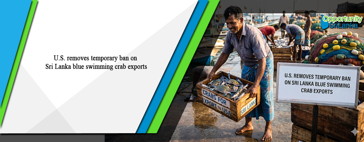 U.S. removes temporary ban on Sri Lanka blue swimming crab exports