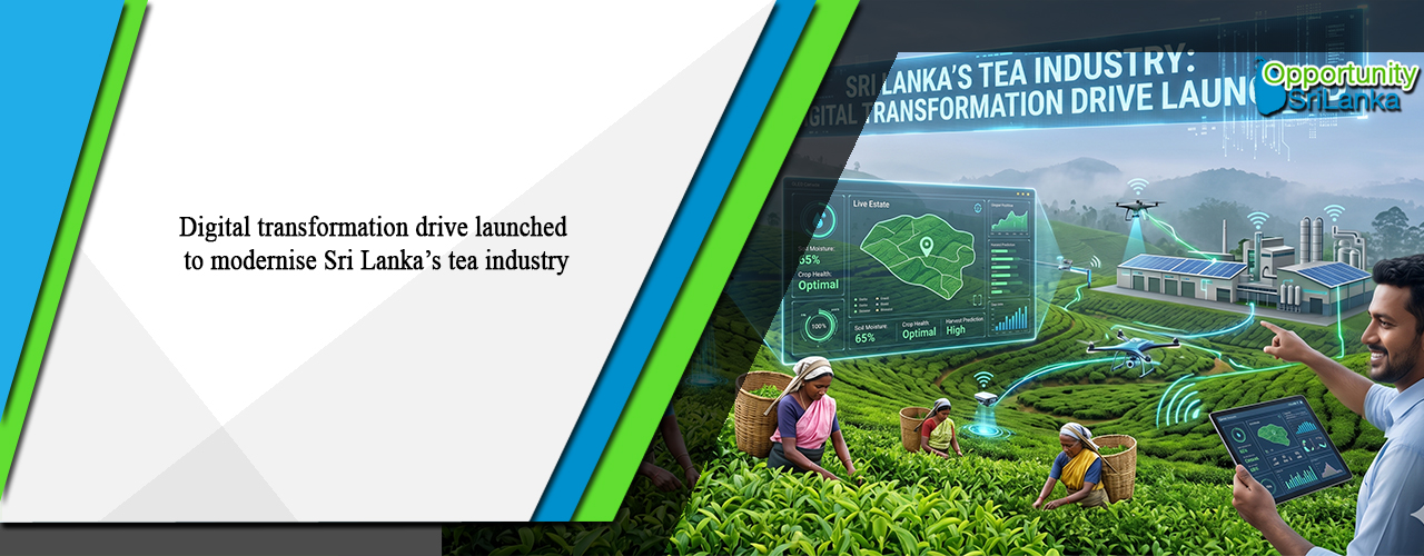 Digital transformation drive launched to modernise Sri Lanka’s tea industry