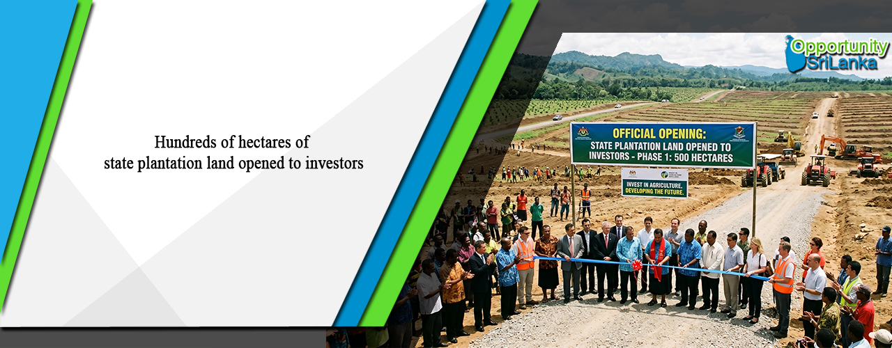 Hundreds of hectares of state plantation land opened to investors