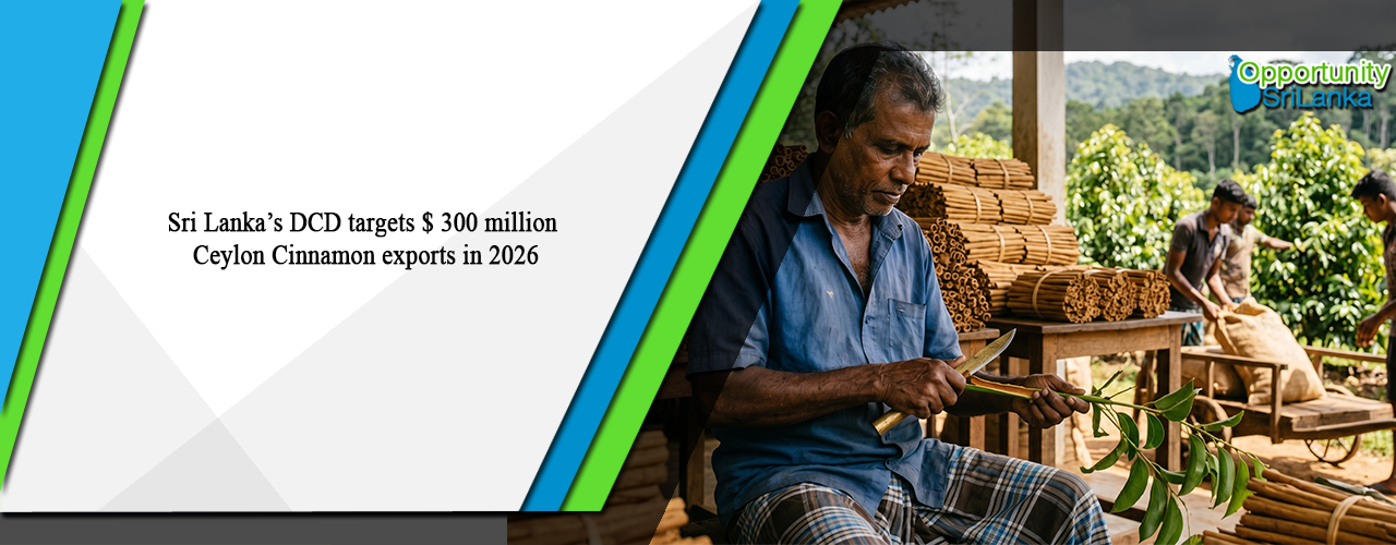 Sri Lanka’s DCD targets $ 300 million Ceylon Cinnamon exports in 2026