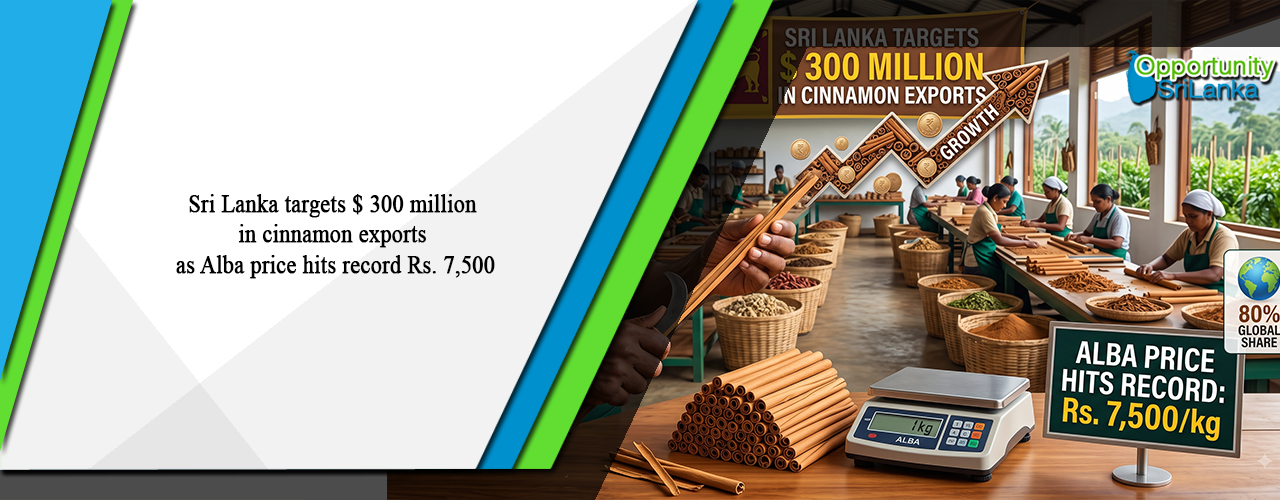 Sri Lanka targets $ 300 million in cinnamon exports as Alba price hits record Rs. 7,500