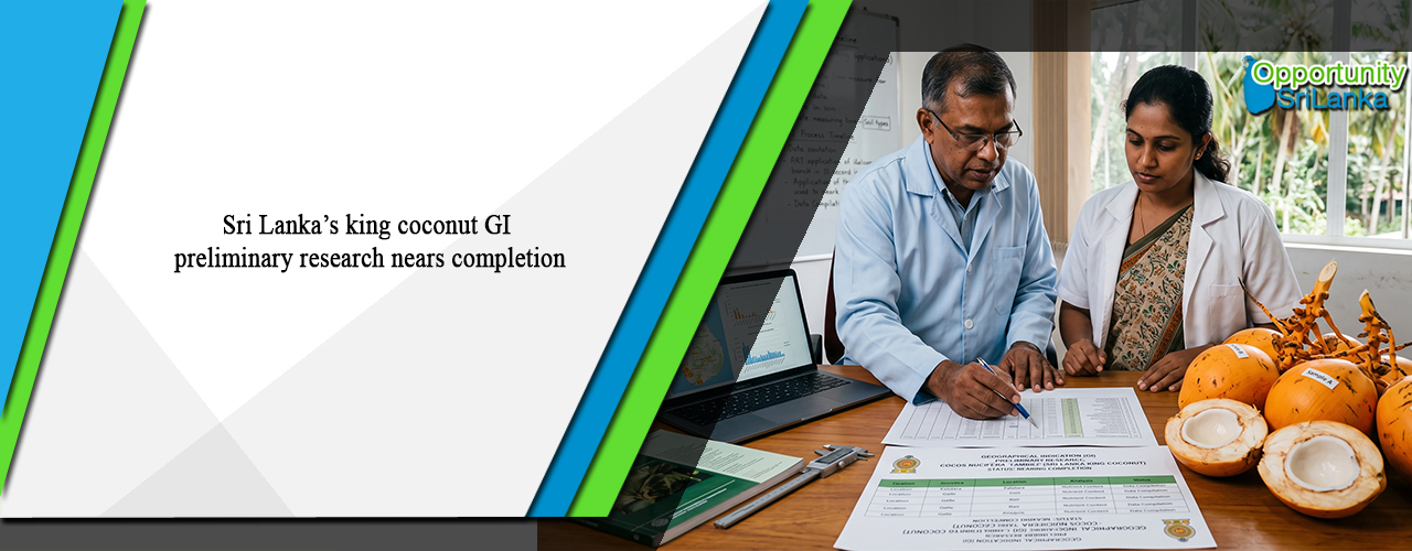 Sri Lanka’s king coconut GI preliminary research nears completion