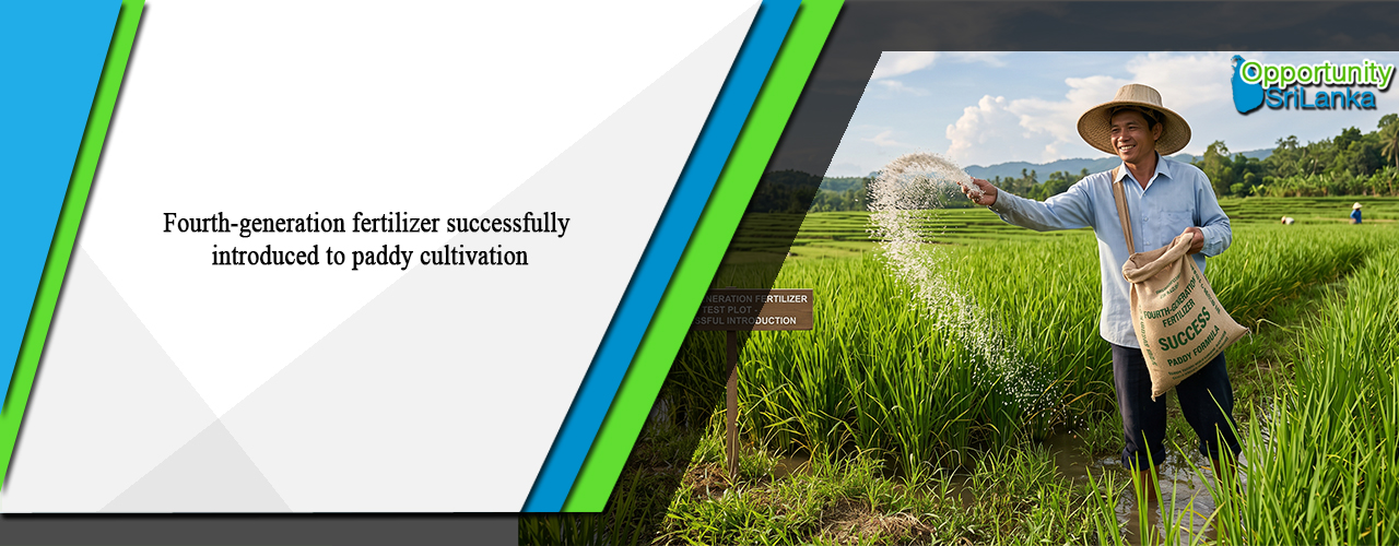 Fourth-generation fertilizer successfully introduced to paddy cultivation