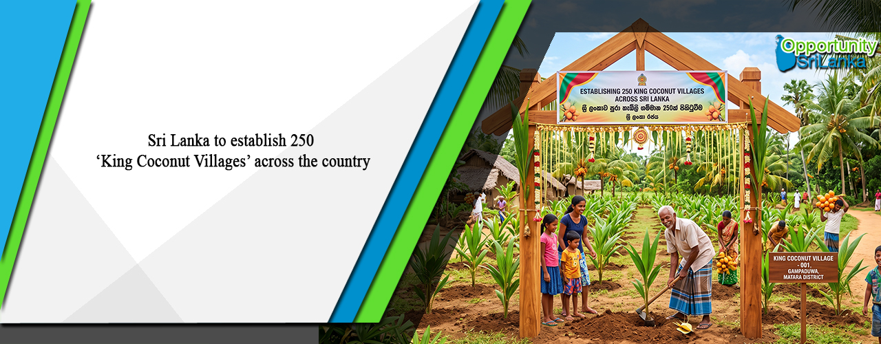 Sri Lanka to establish 250 ‘King Coconut Villages’ across the country