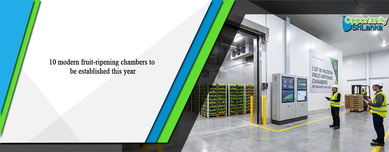 10 modern fruit-ripening chambers to be established this year