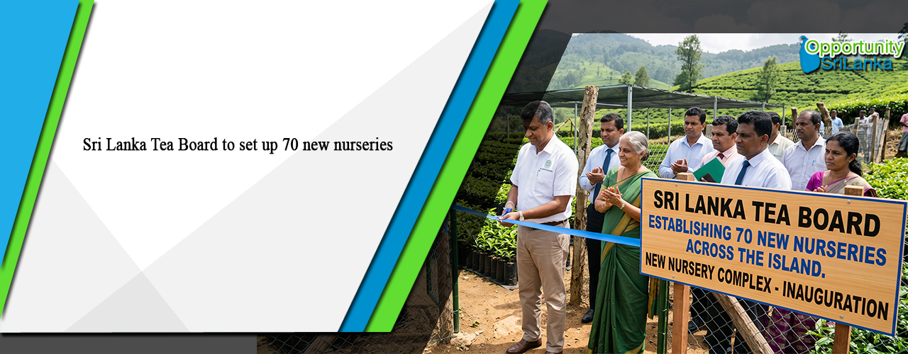 Sri Lanka Tea Board to set up 70 new nurseries